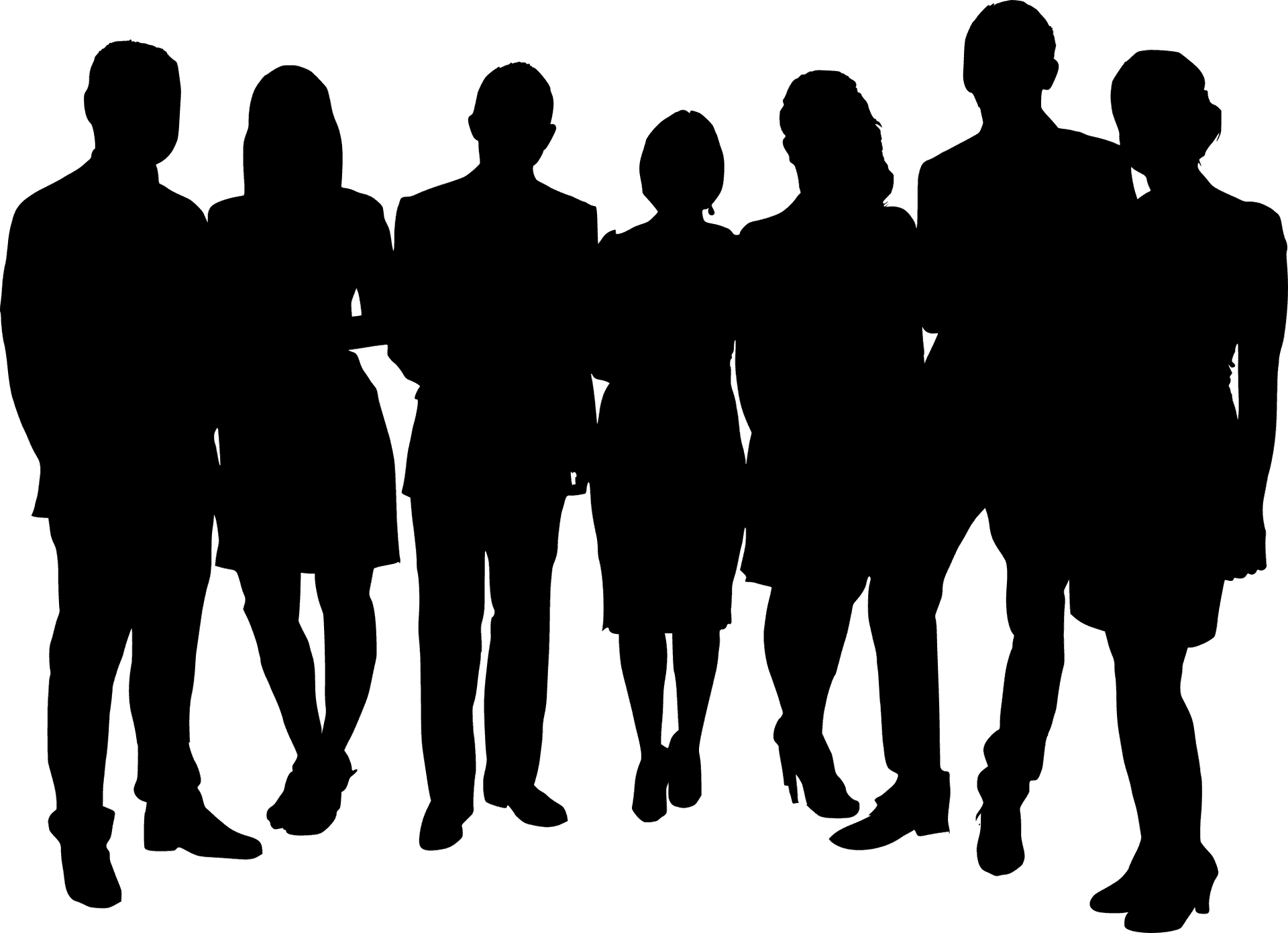 Group Silhouette Professional Team PNG