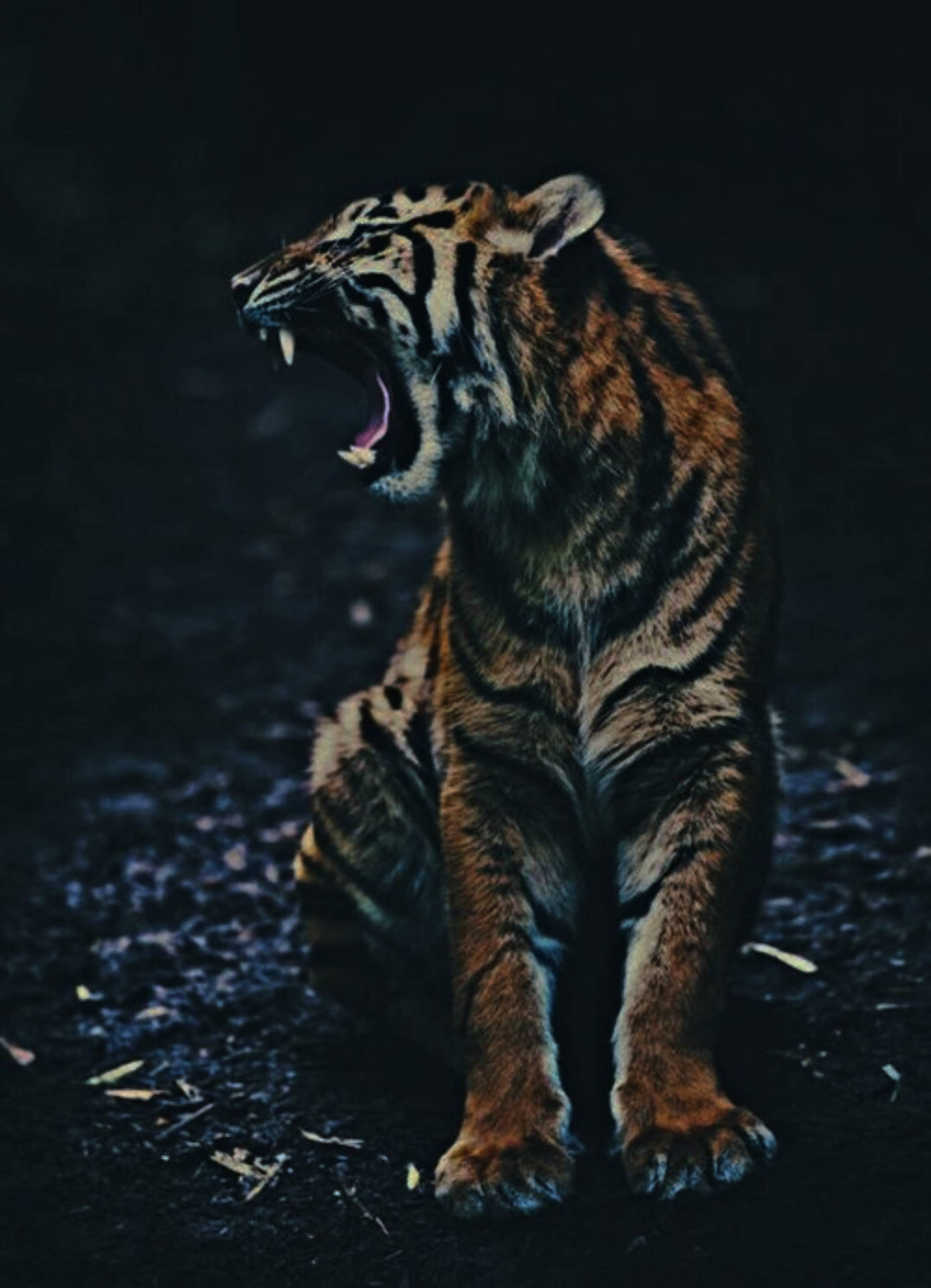 Growling Tiger With Black Tiger Stripes