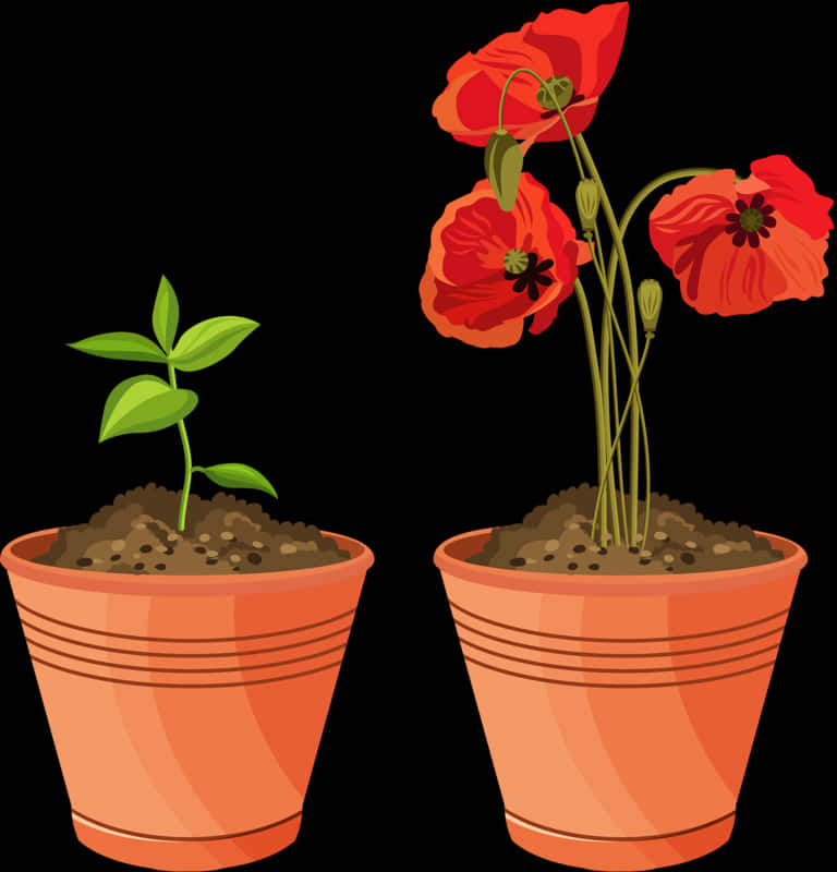 Growth Stagesof Plantin Pots PNG