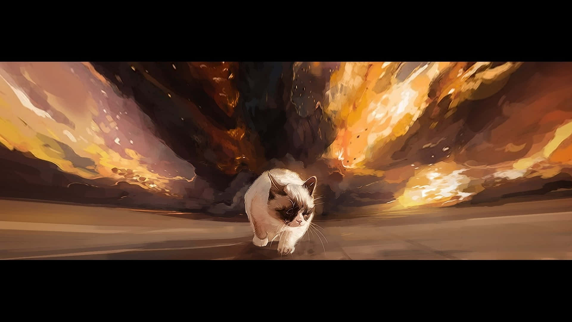En kat der går gennem en ildspyende drage Wallpaper