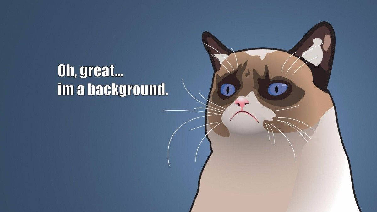 Grumpy Cat Background Funny Meme Wallpaper