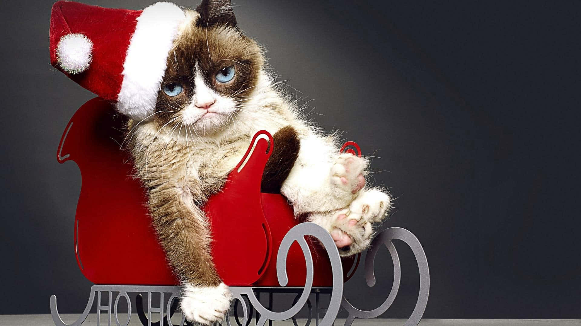 The One&Only Grumpy Cat
