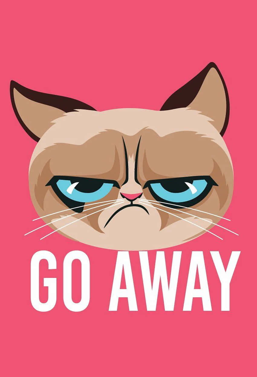 Grumpy Cat Go Away - Tumblr