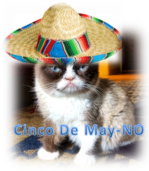 Grumpy Cat Cinco De Mayo Hat Meme PNG
