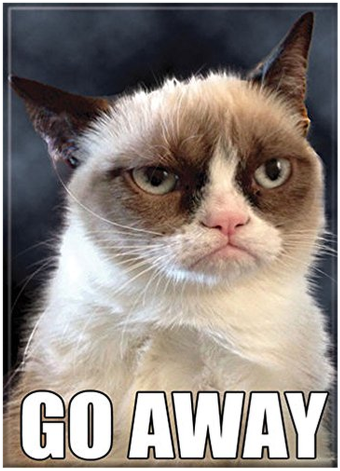 Grumpy Cat Go Away Meme PNG