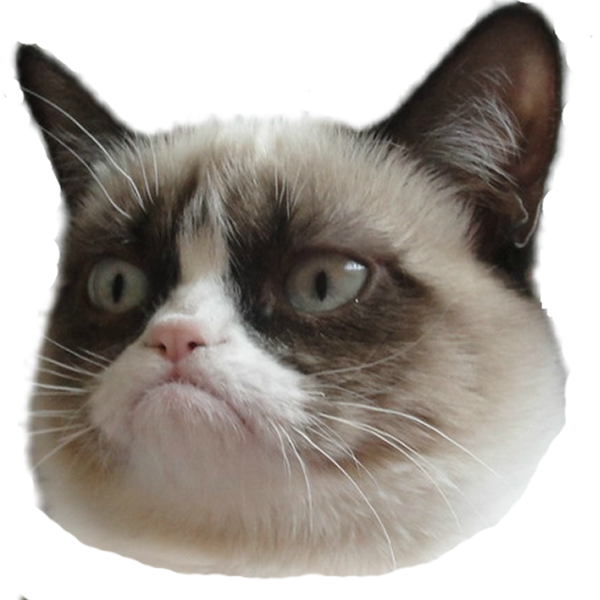 Grumpy Cat Head Transparent Background.png PNG