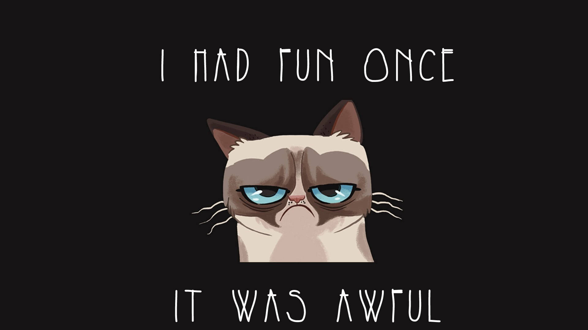 Grumpy Cat Humor Wallpaper