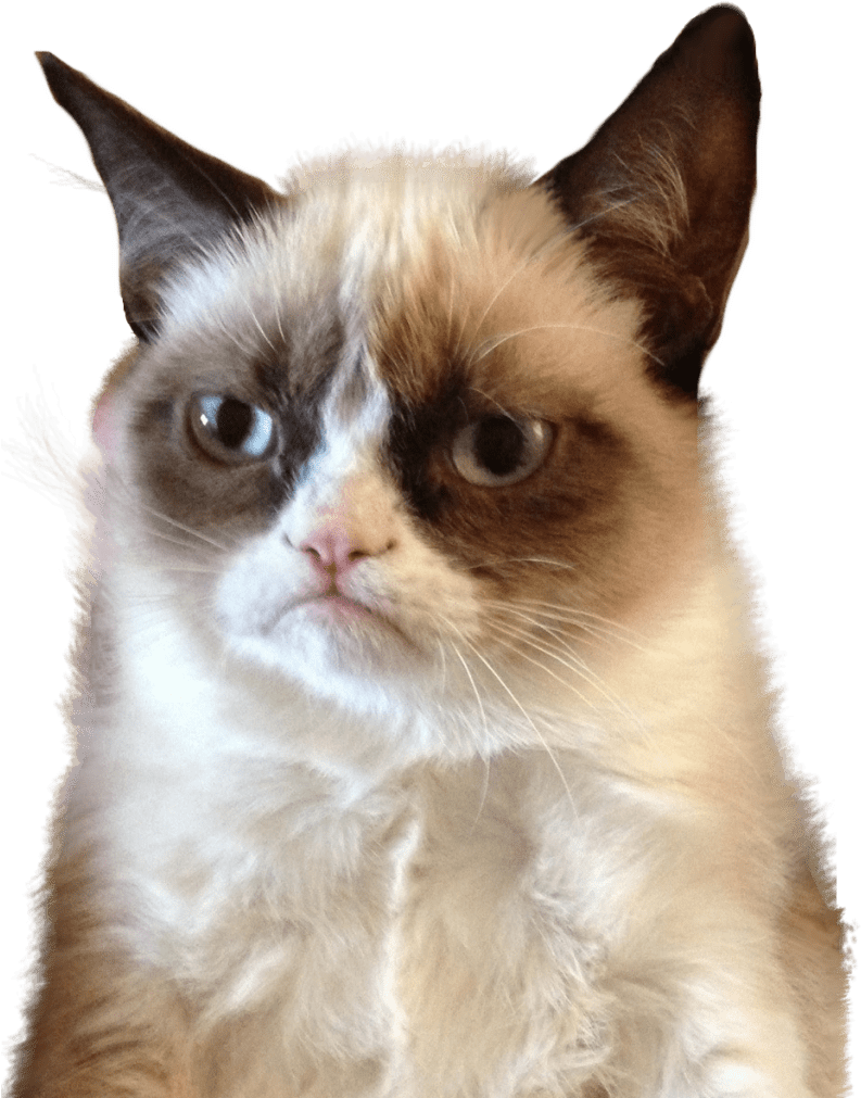 download-grumpy-cat-meme-portrait-wallpapers