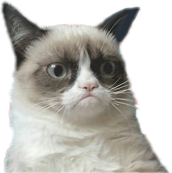 Grumpy Cat Meme Png Pic Hq Png Arts