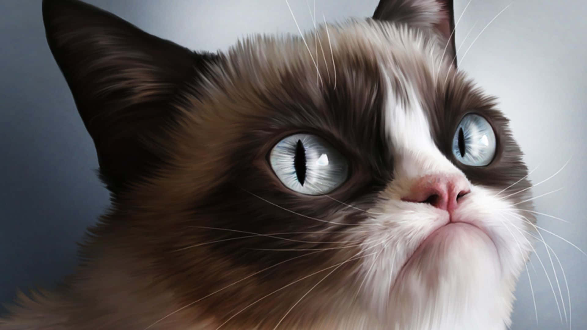 Grumpy Cat viser et usædvanligt smil Wallpaper