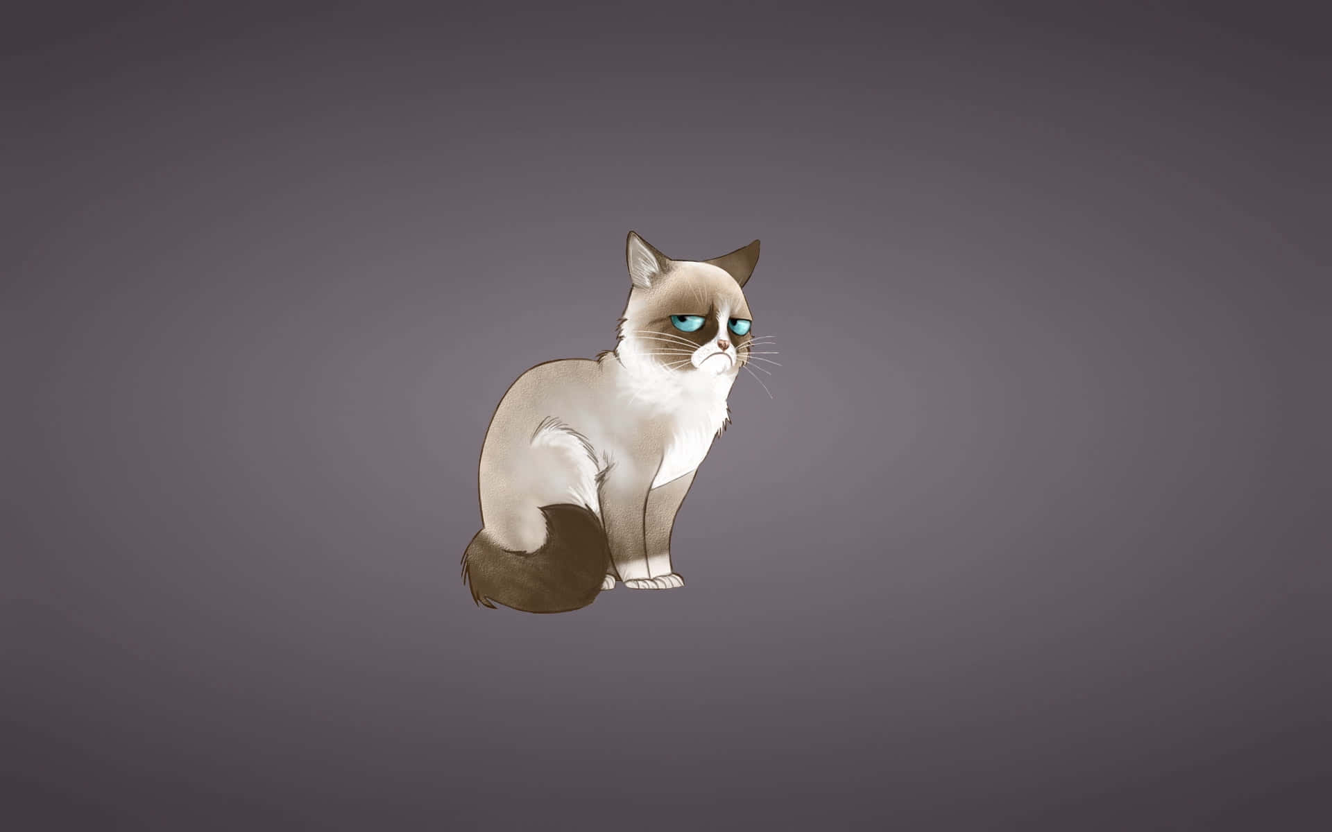 A Cat With Blue Eyes Sitting On A Gray Background