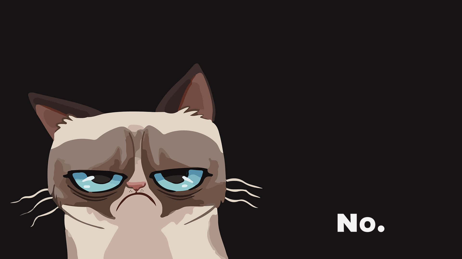 Grumpy Cat With The Words No