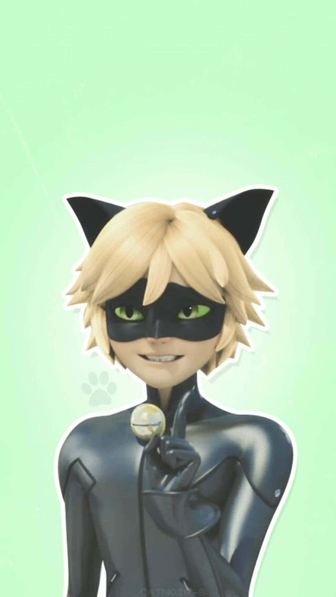 Grumpy Character Cute Cat Noir Wallpaper