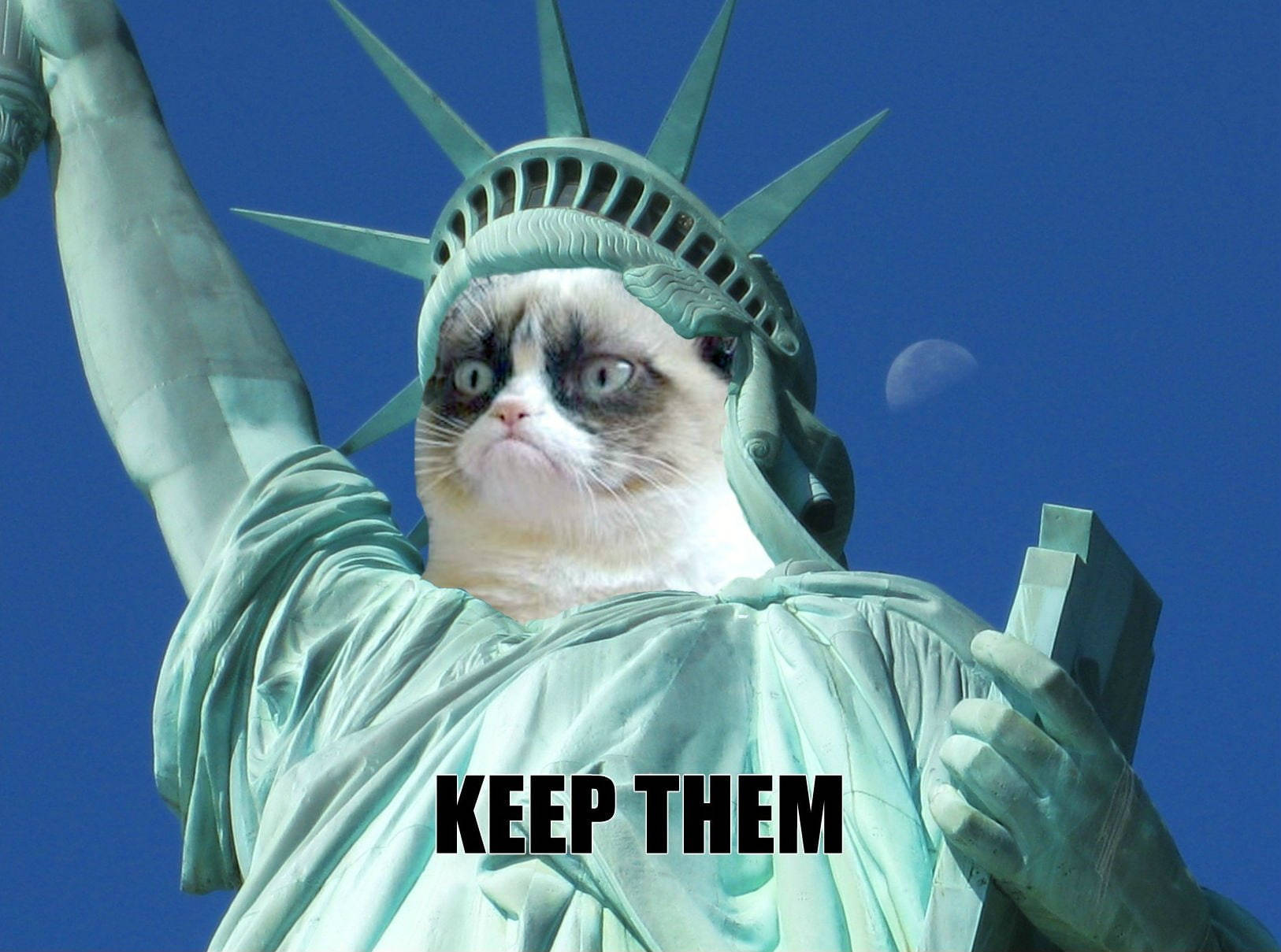Grumpy Liberty Statue Funny Meme Wallpaper