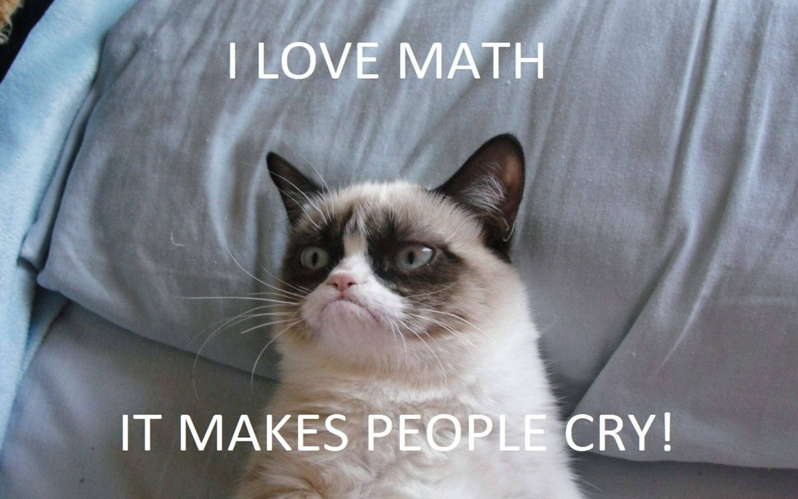 Grumpy Math Funny Meme