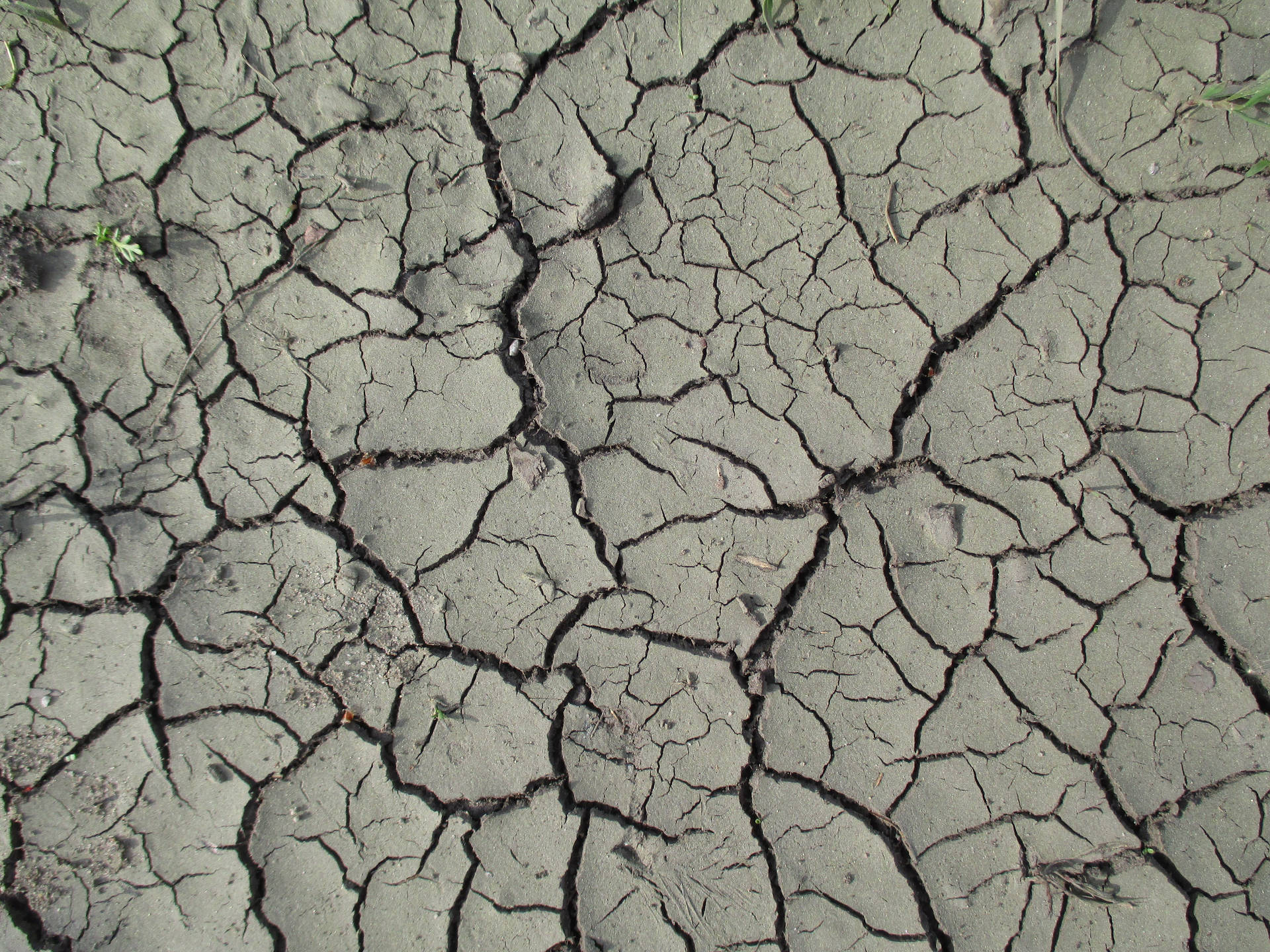 Grunge Aesthetic Drought Wallpaper
