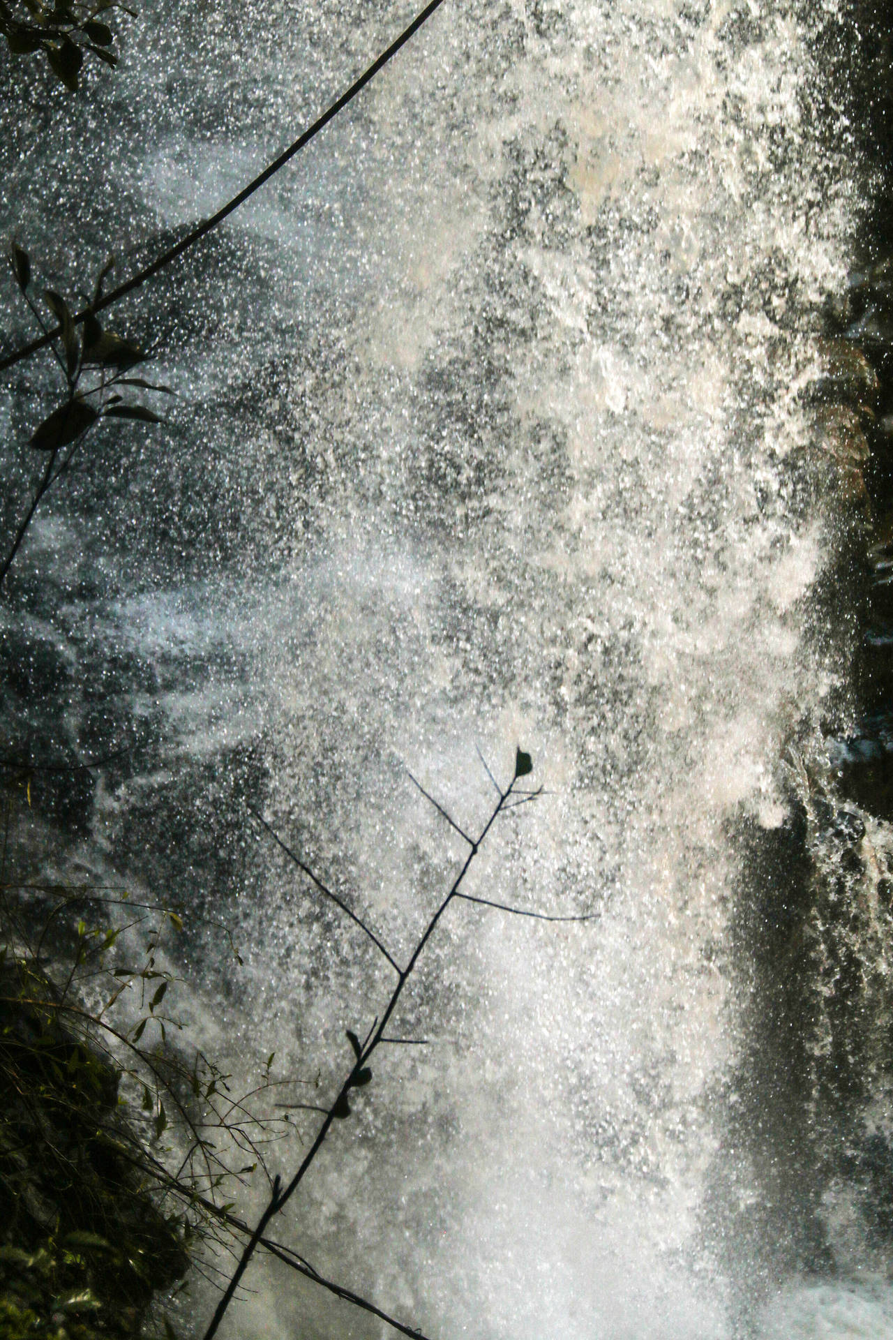 Grungeästhetischer Wald Wasserfall Wallpaper