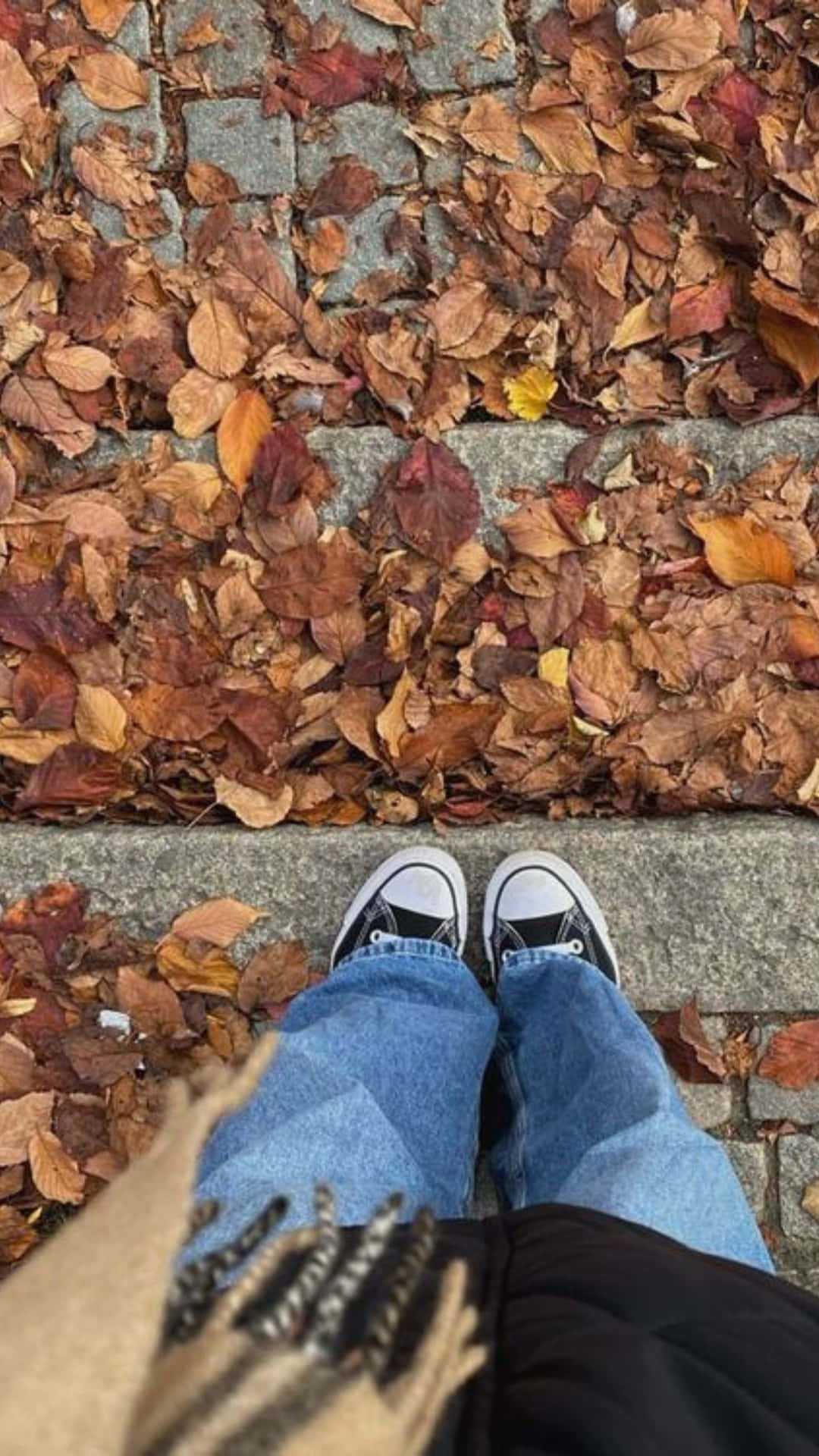 Grunge Autumn Leavesand Sneakers Wallpaper