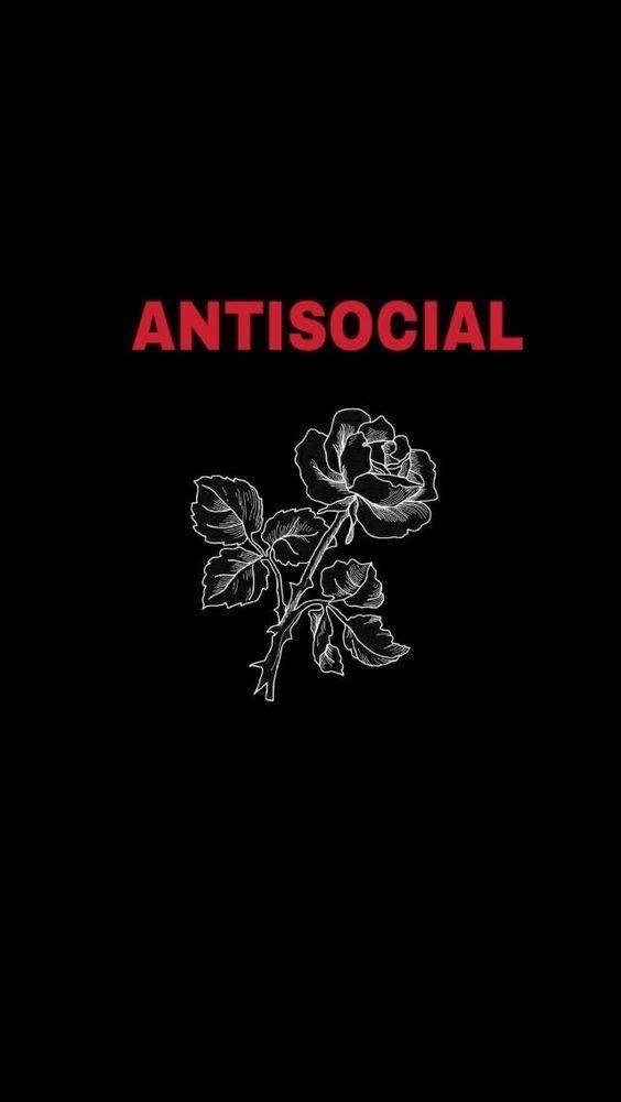 Dette tapet er en rose med ordene 'antisocial' på den. Wallpaper
