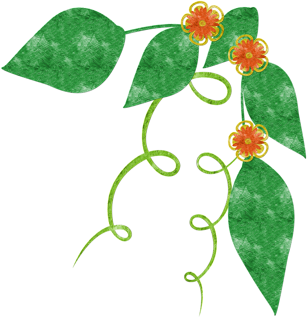 Grunge Floral Vine Illustration PNG