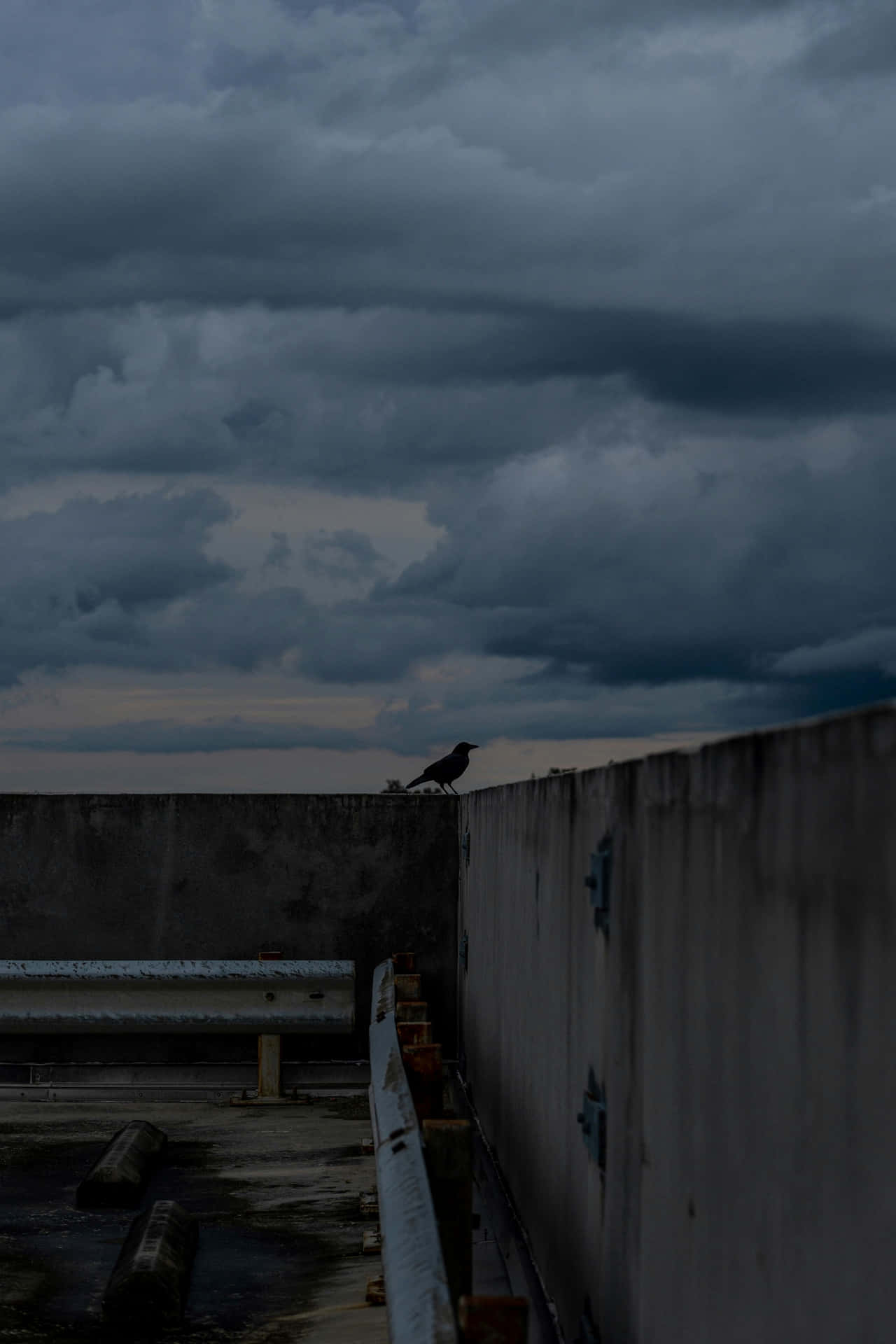 Grunge Grey Skyline Bird Silhouette Wallpaper