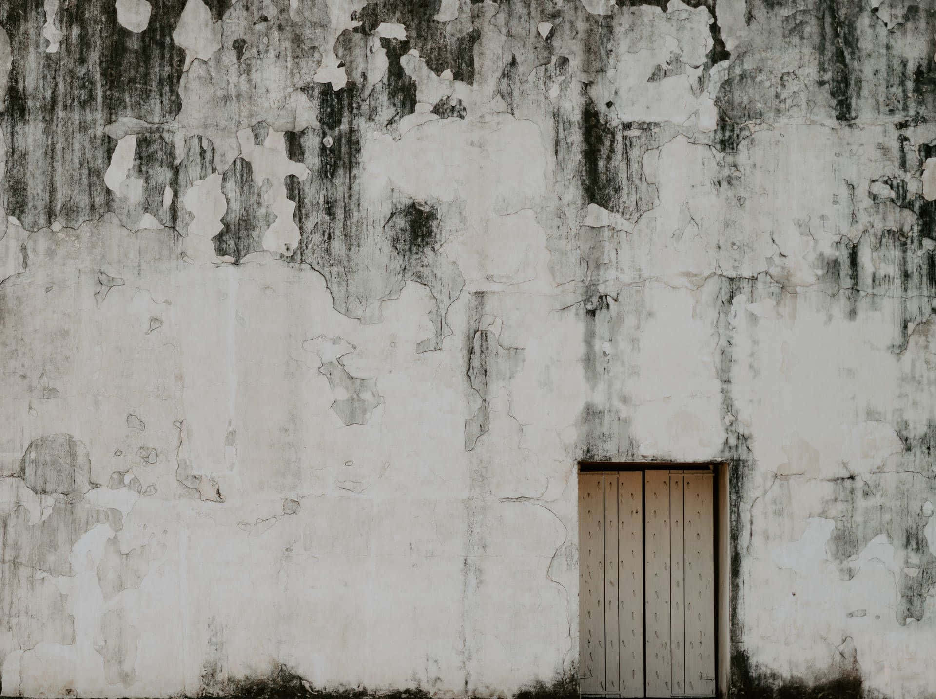 Grunge Grey Wallwith Door.jpg Wallpaper
