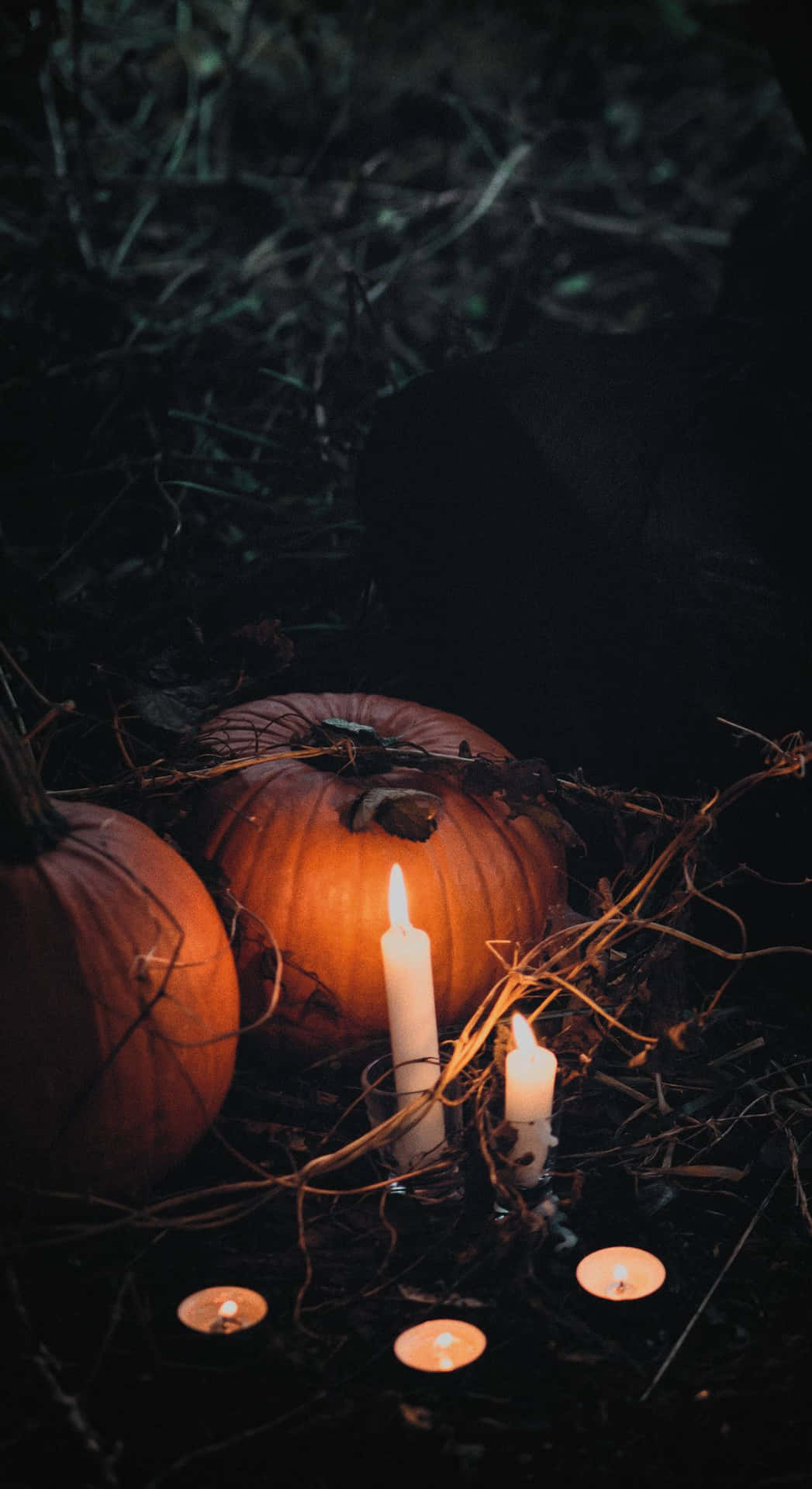 Grunge Halloween Pompoenen En Kaarsen Achtergrond