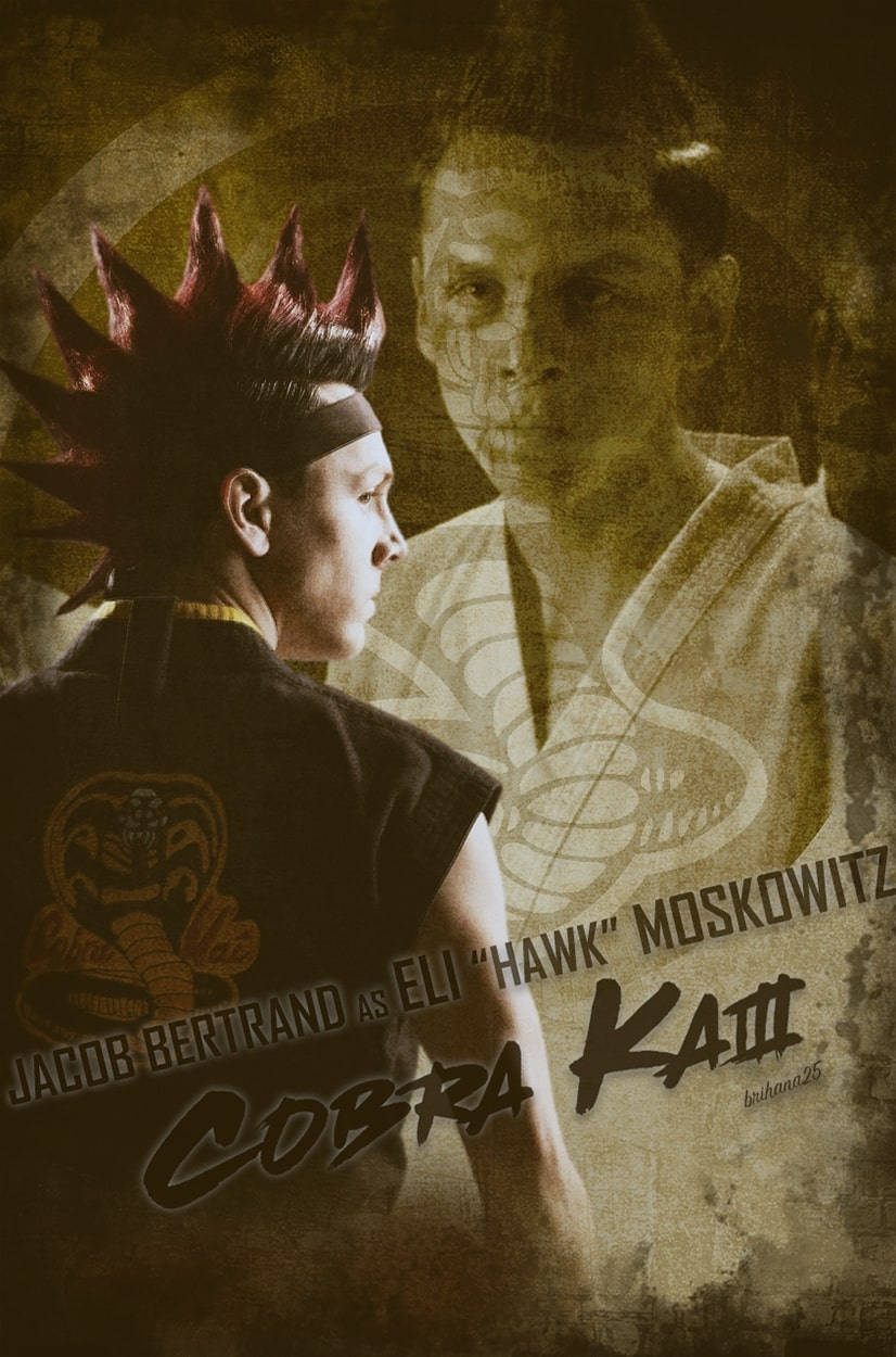 Hawk, Rising Power from Cobra Kai Wallpaper