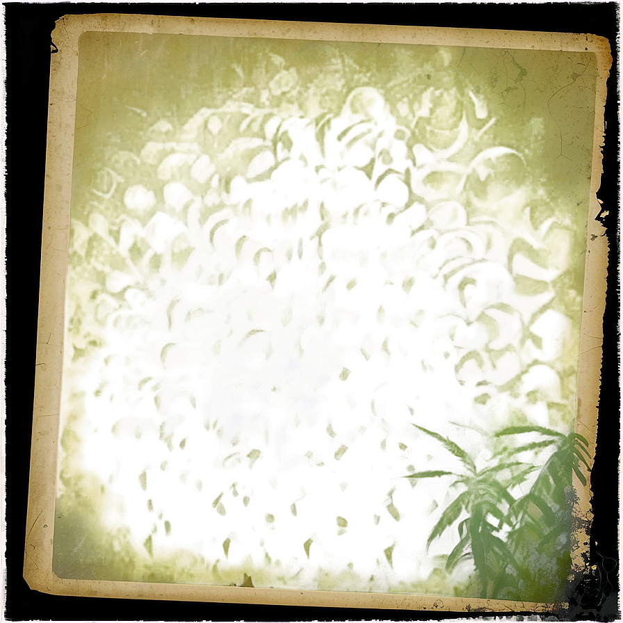 Grunge Polaroid Film Texture Png Kxq PNG