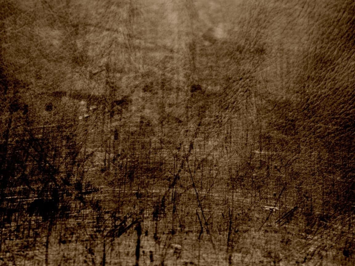 Image  "Grunge Texture Background"
