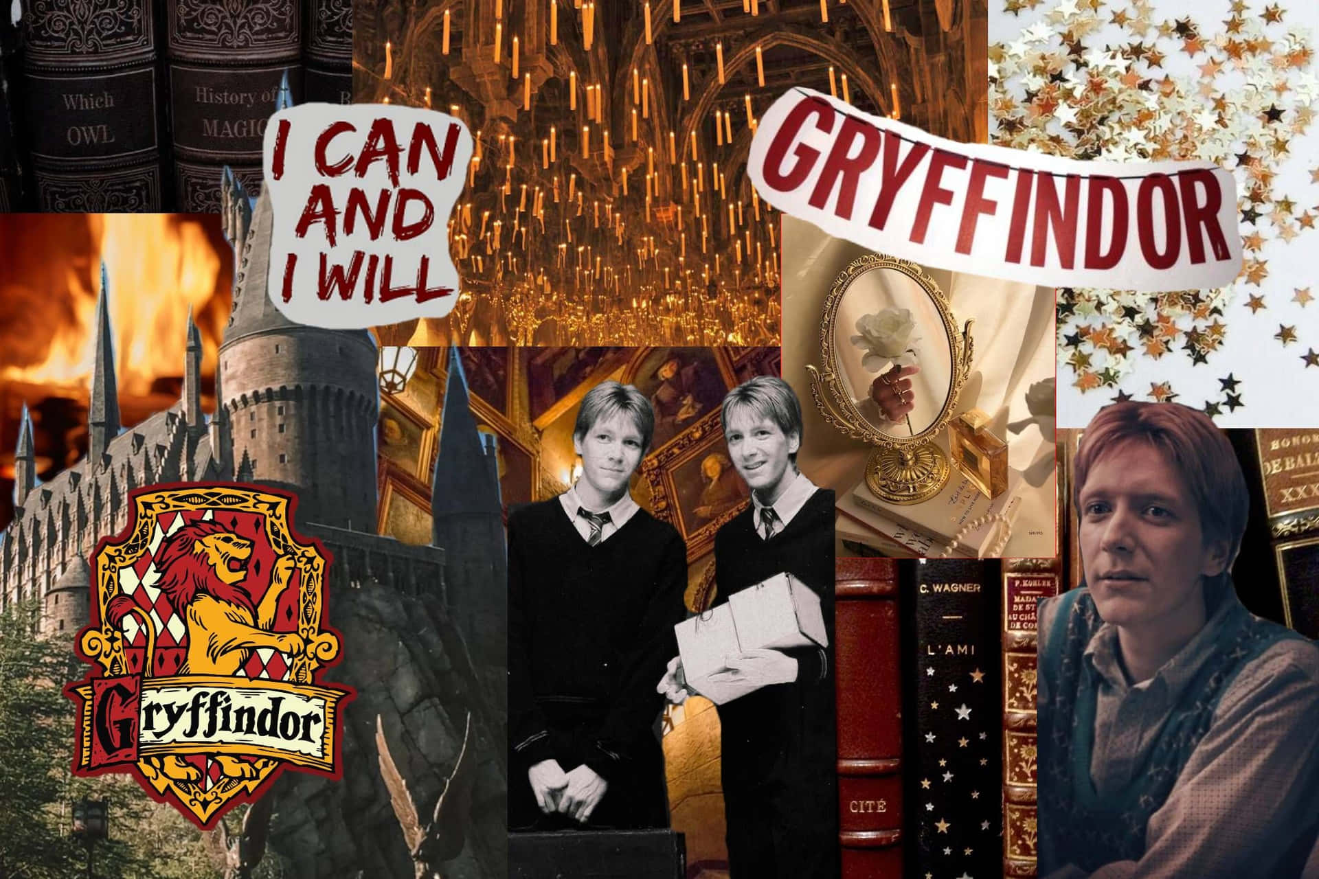 Gryffindor Aesthetic Iphone Screen Theme Wallpaper
