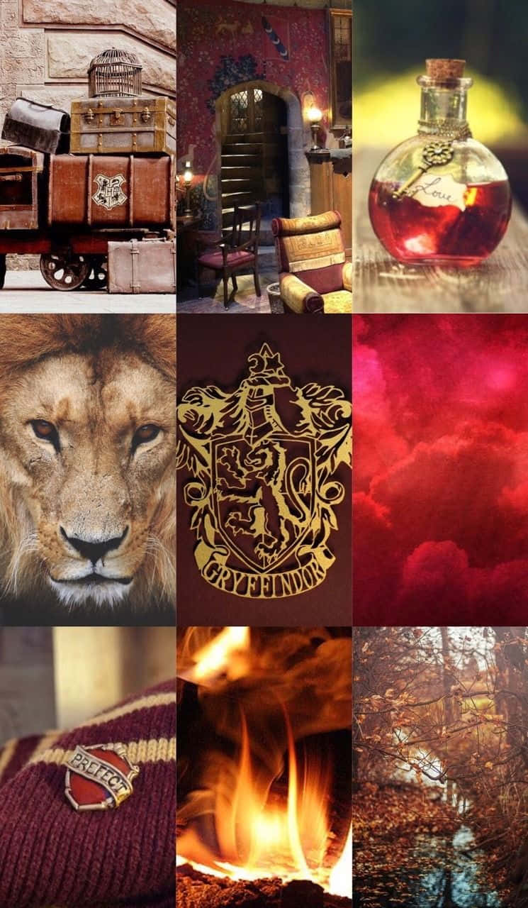 "Hogwarts—a place of courage, chivalry and daring." Wallpaper