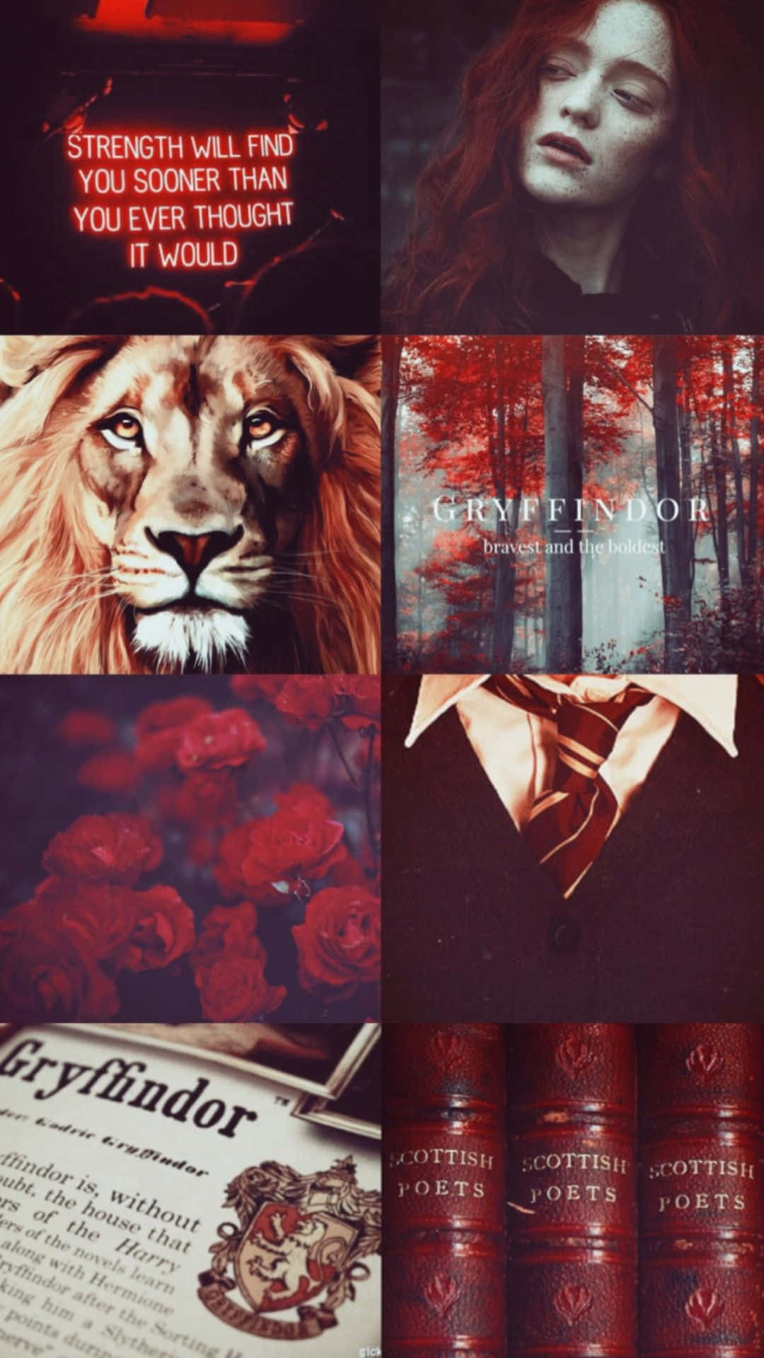 Feel the charm of the Gryffindor Aesthetic Wallpaper