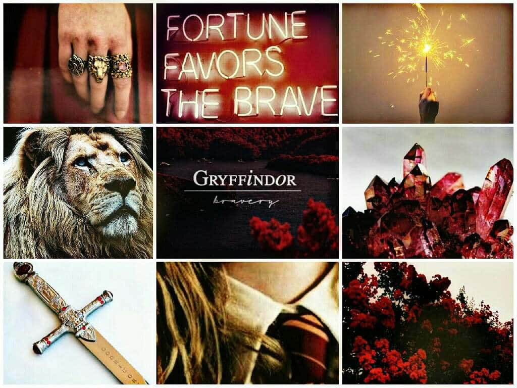 Gryffindor Aesthetic Collage Wallpaper
