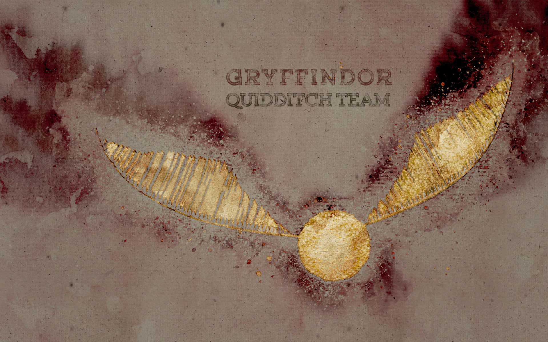 Explore the Brave and Bold House of Gryffindor