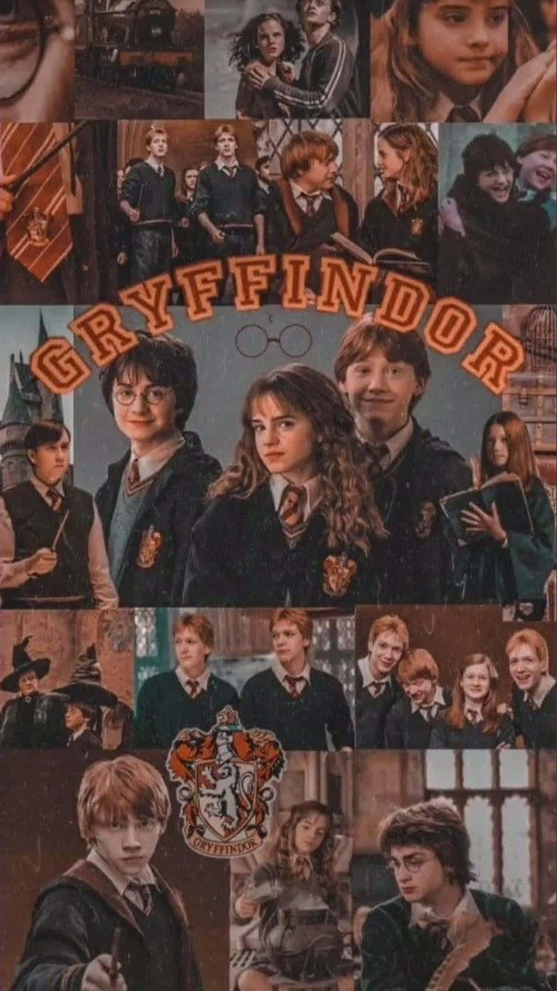 Download Gryffindor Collage Harry Potter Series | Wallpapers.com