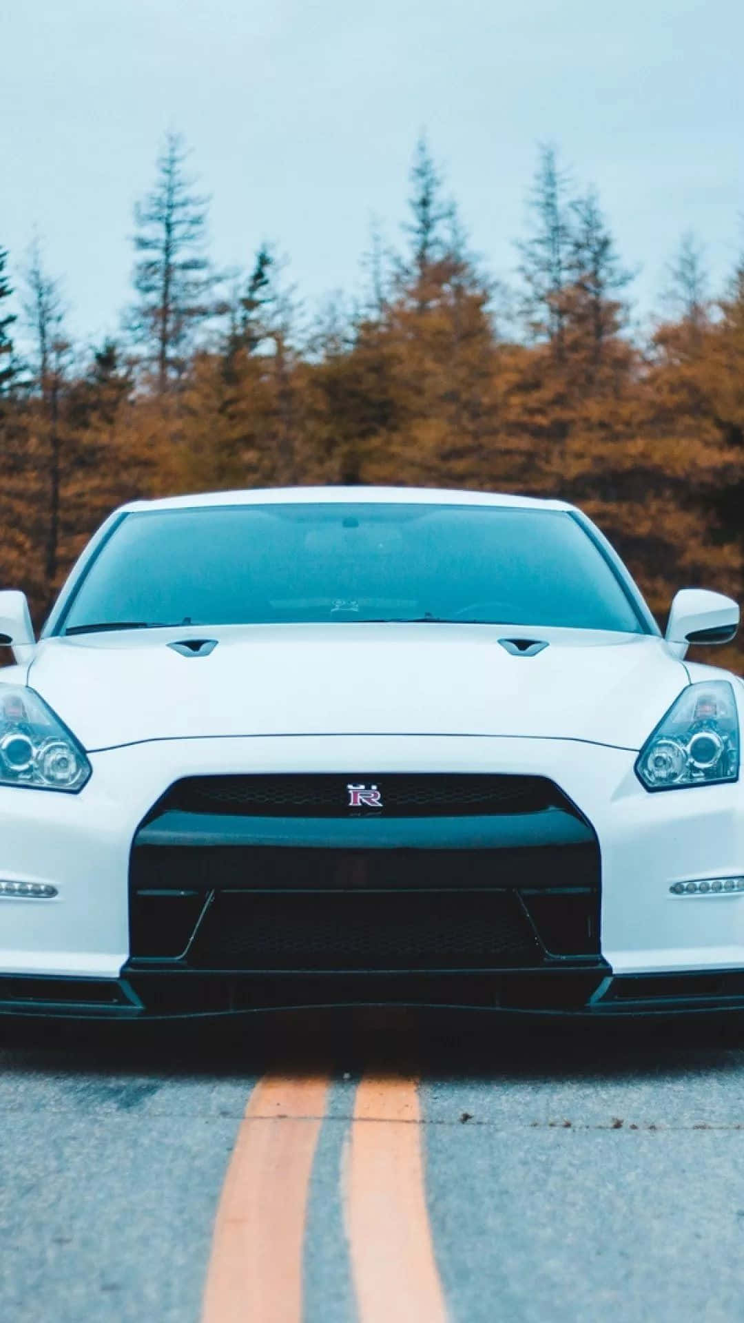 A White Nissan Gtr Parked On The Road Wallpaper