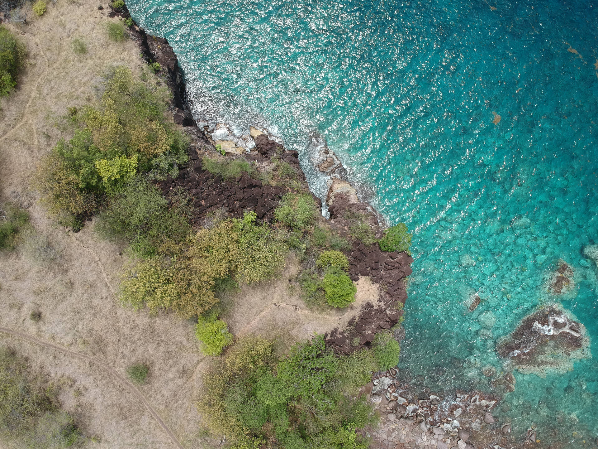 Guadeloupe blå vandscener billede baggrund. Wallpaper