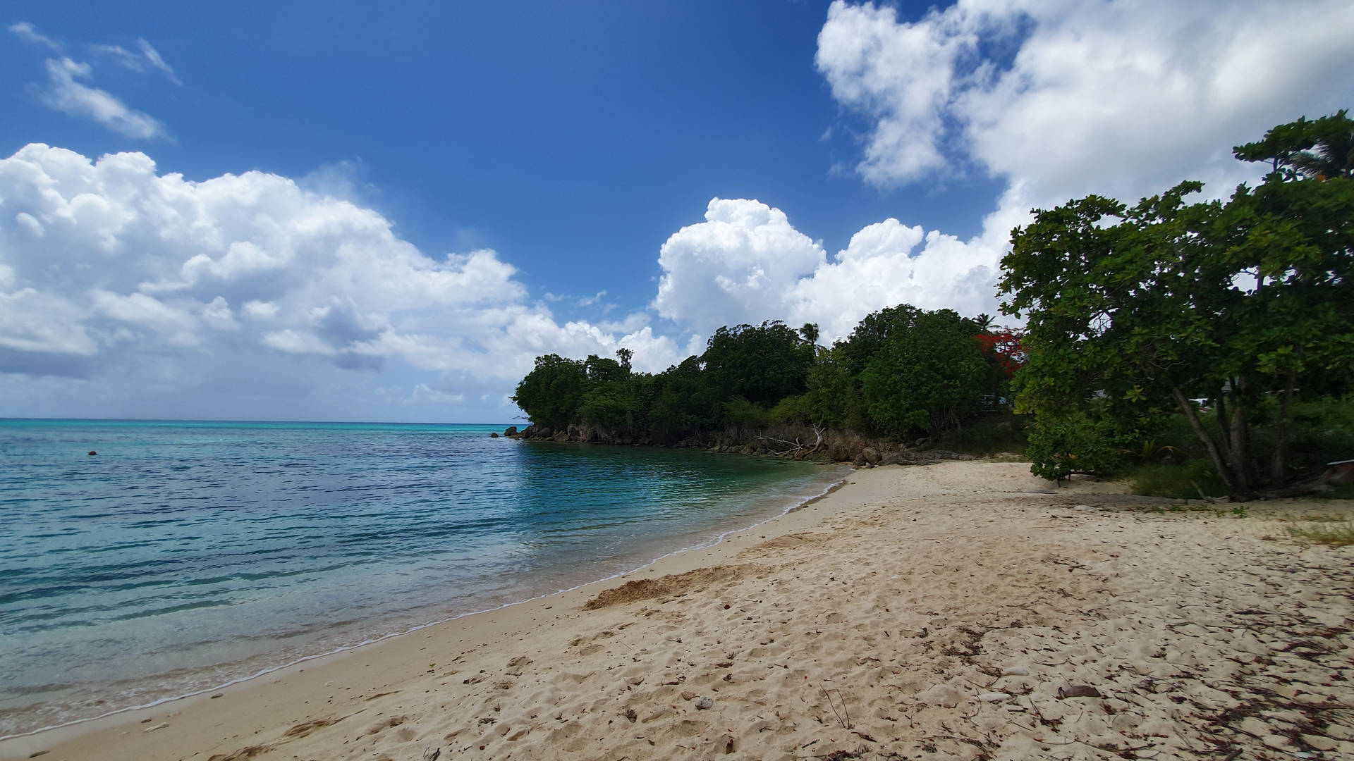 Guadeloupe Cloudy Skied Beach Wallpaper