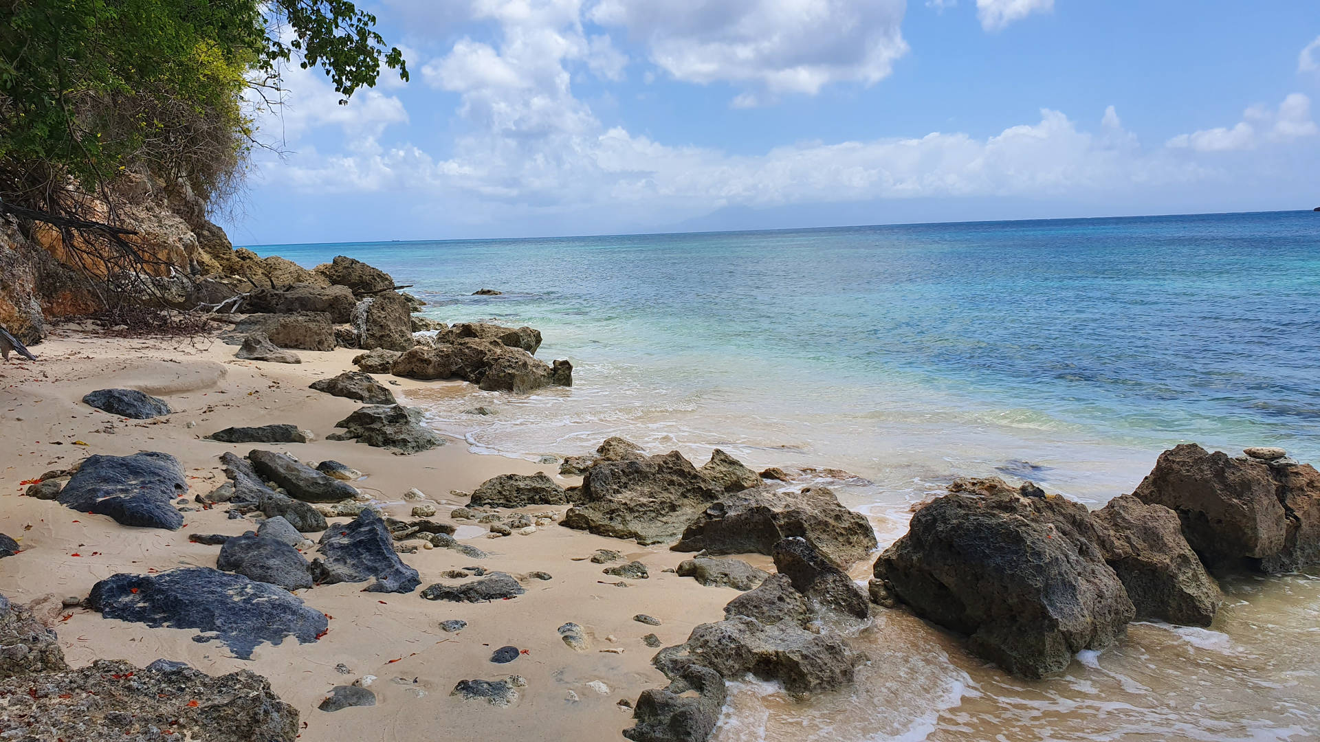 Guadeloupe Rocky Beach Scene er et unikt billede Wallpaper