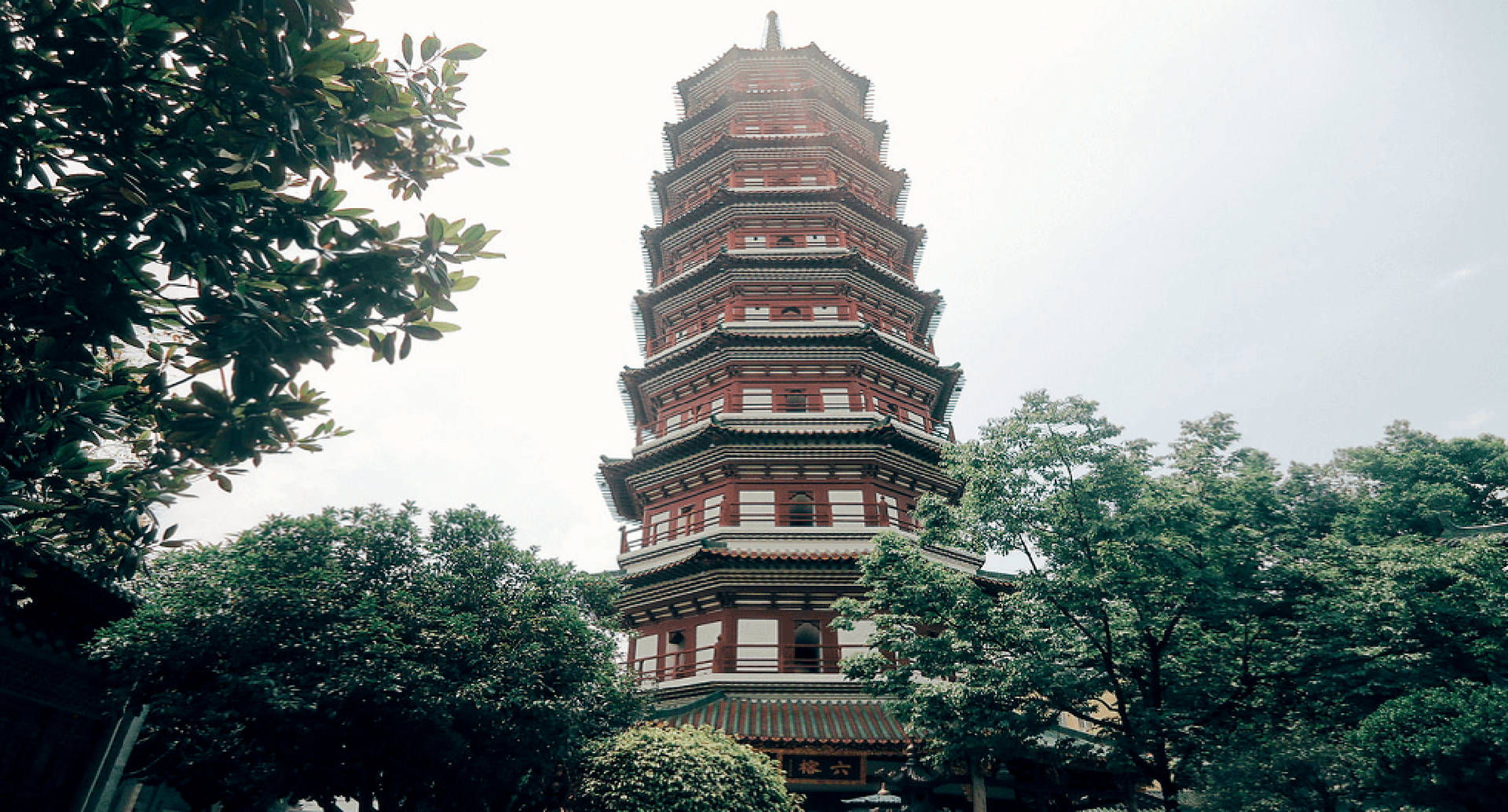 Guangzhou Six Banyan Trees Temple Wallpaper