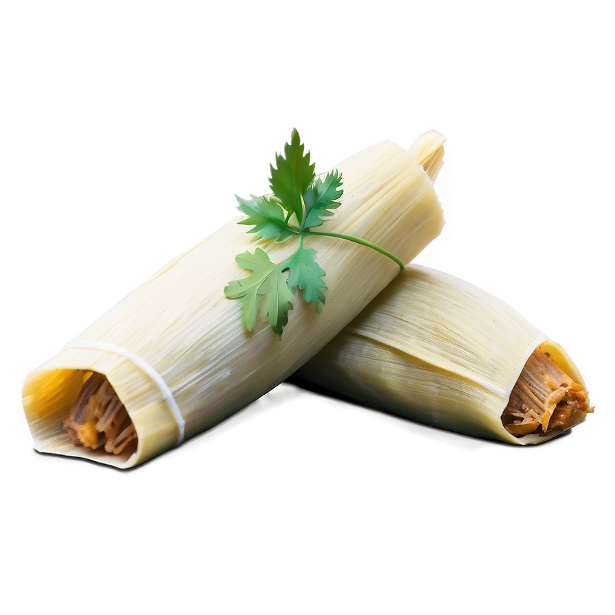 Download Guatemalan Tamales Dish Png 06242024 | Wallpapers.com