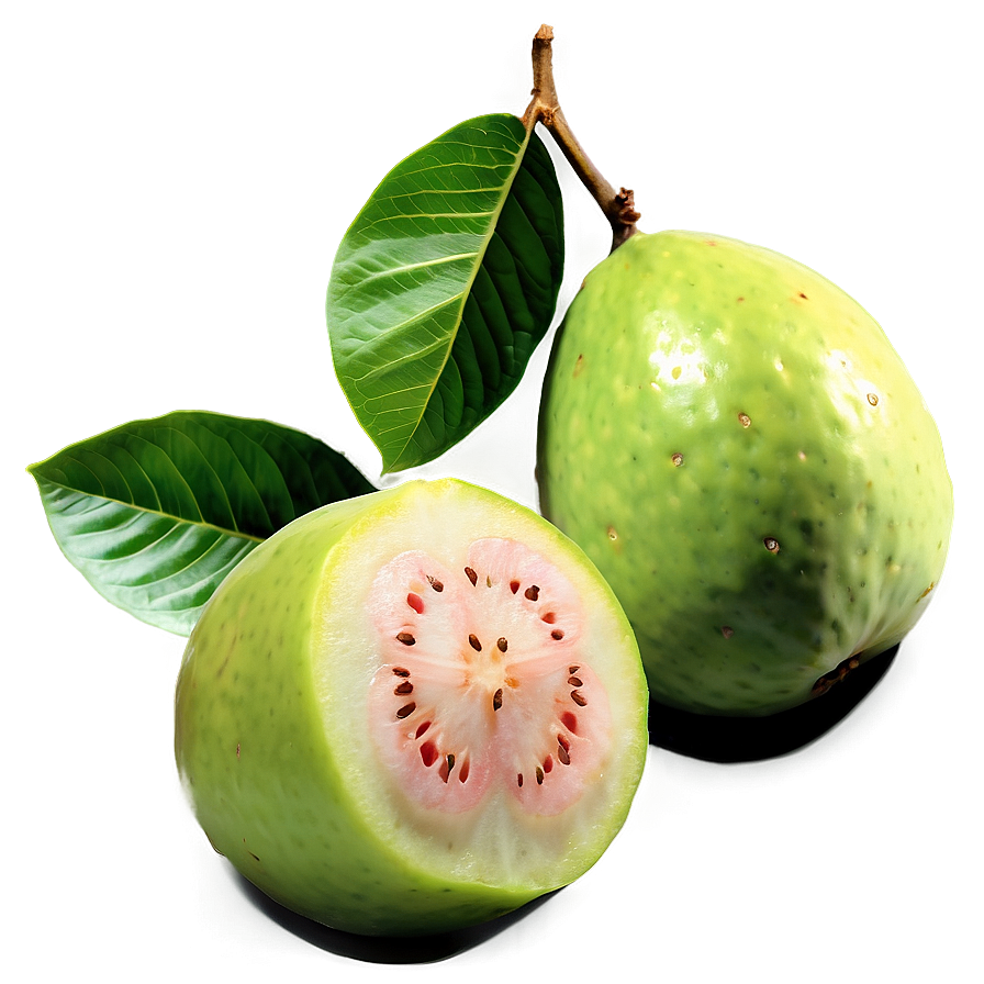 Guava Field Png 06252024 PNG