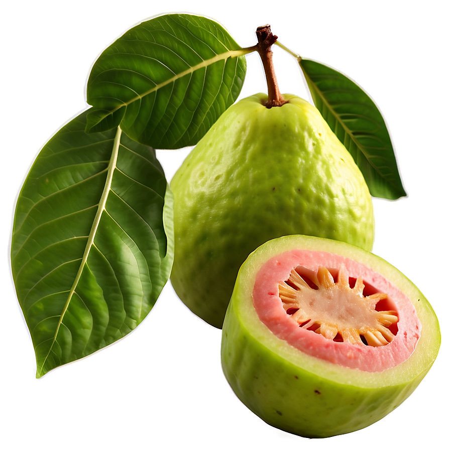 Guava With Leaf Png 92 PNG