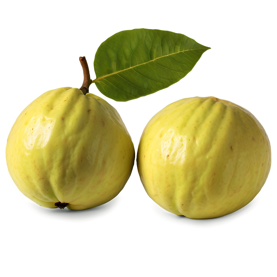Guava With Leaf Png Mdl3 PNG