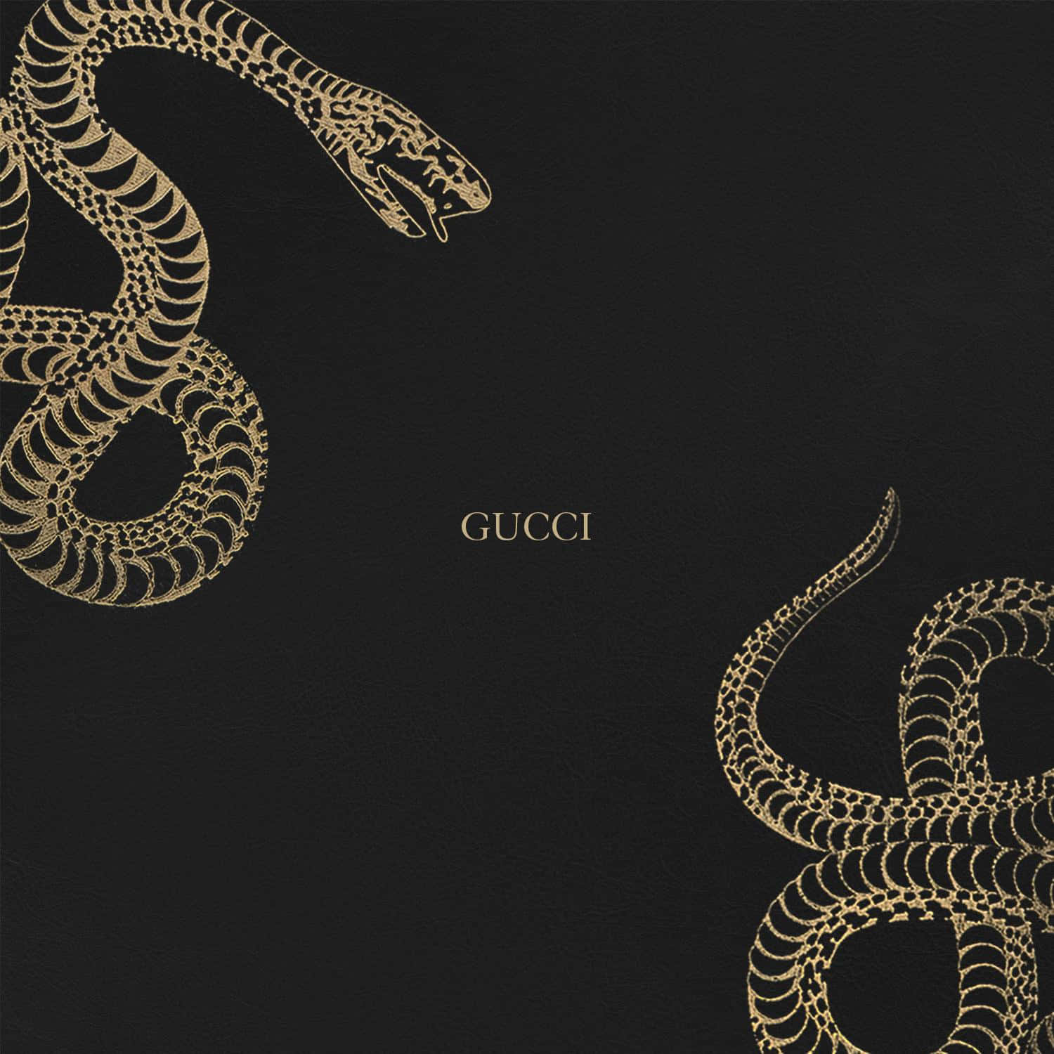 Impresionanteestampado De Serpiente En Fondo De Texto De Gucci