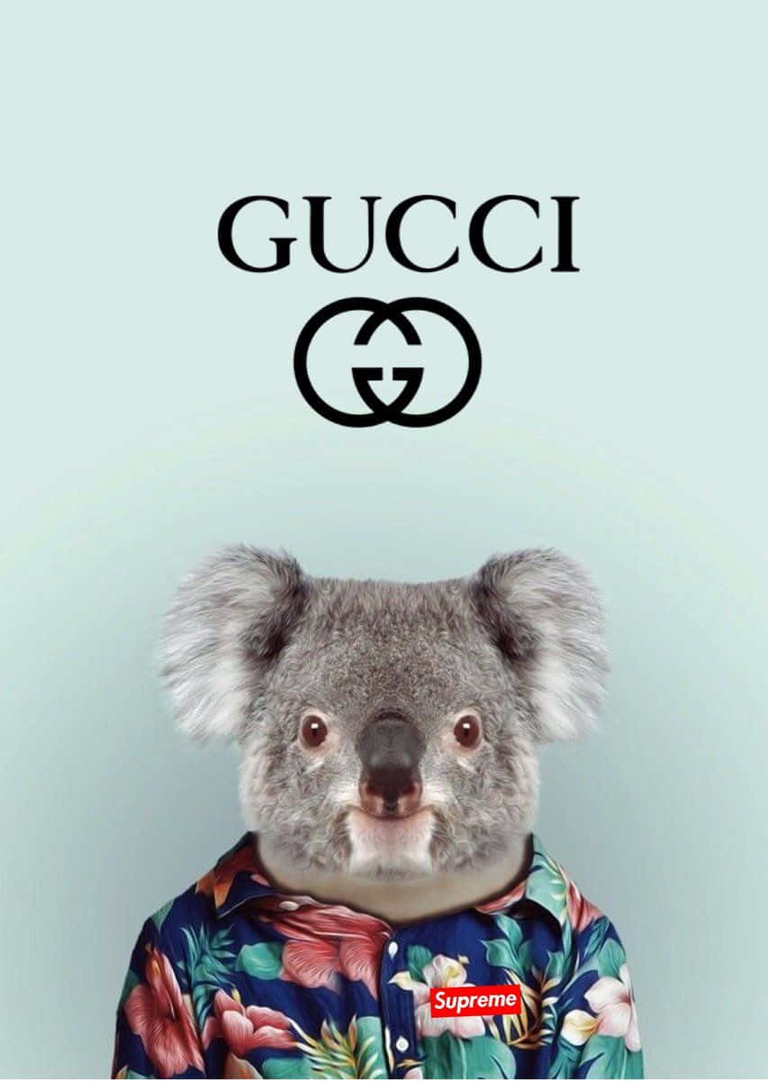 Cute Koala Wearing Hawaiian Clothes For Gucci Background