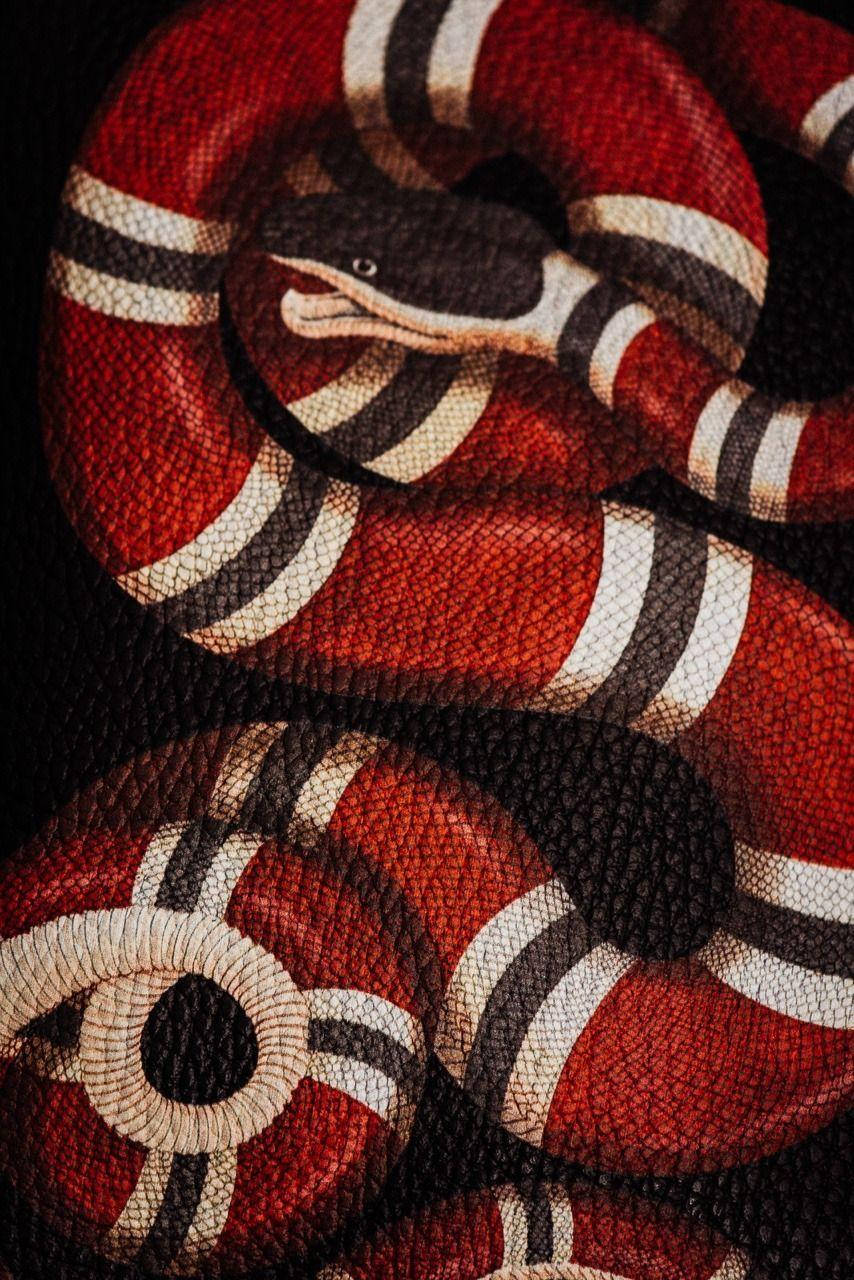 Gucci Designer Snake Logo Wallpaper