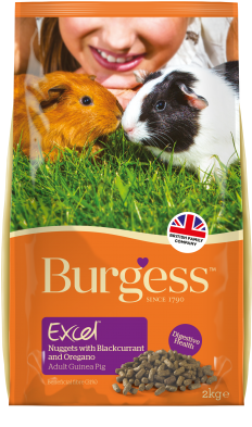 Guinea Pig Foodwith Blackcurrant PNG