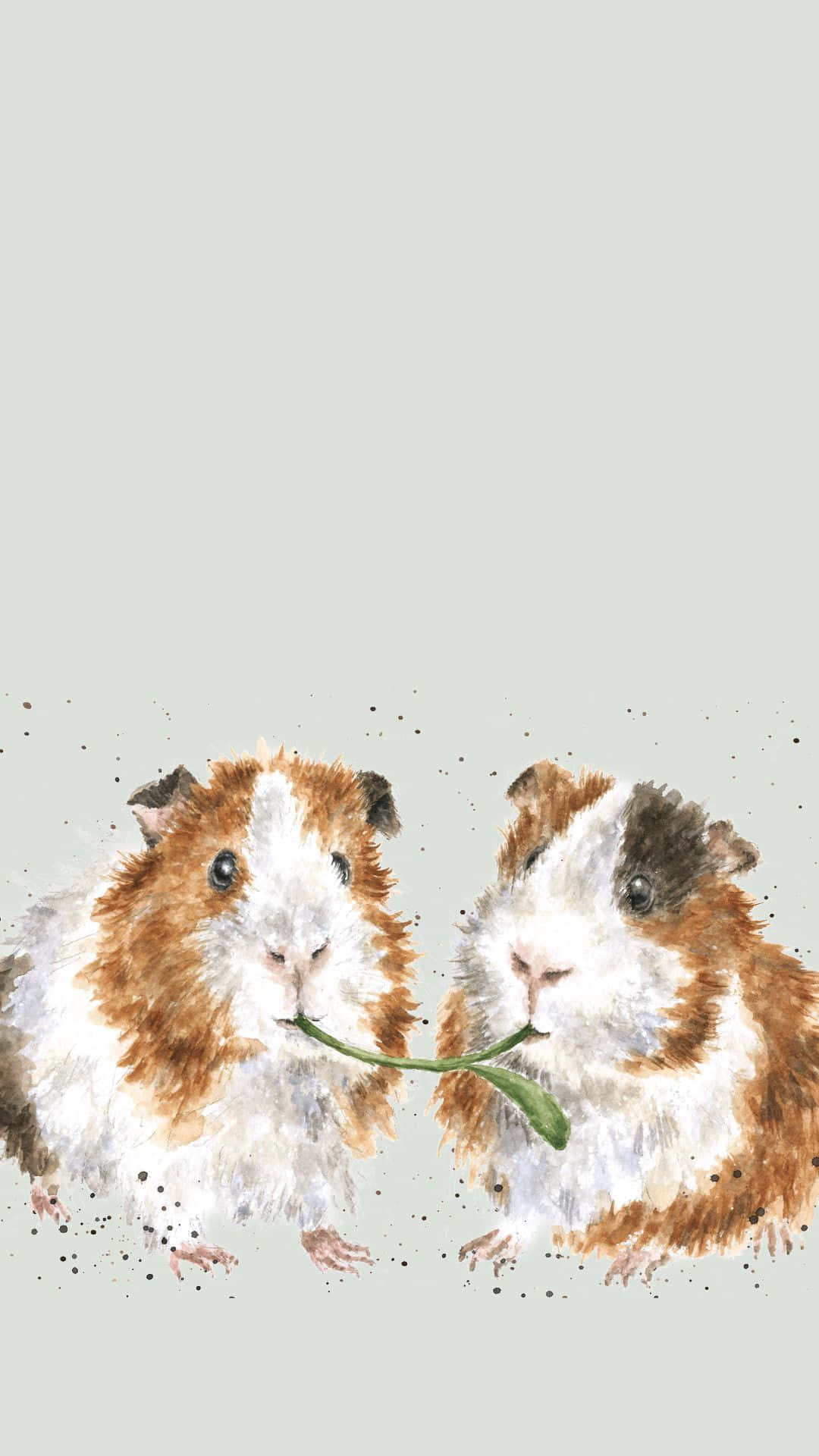 two guinea pigs with a leaf in their mouths